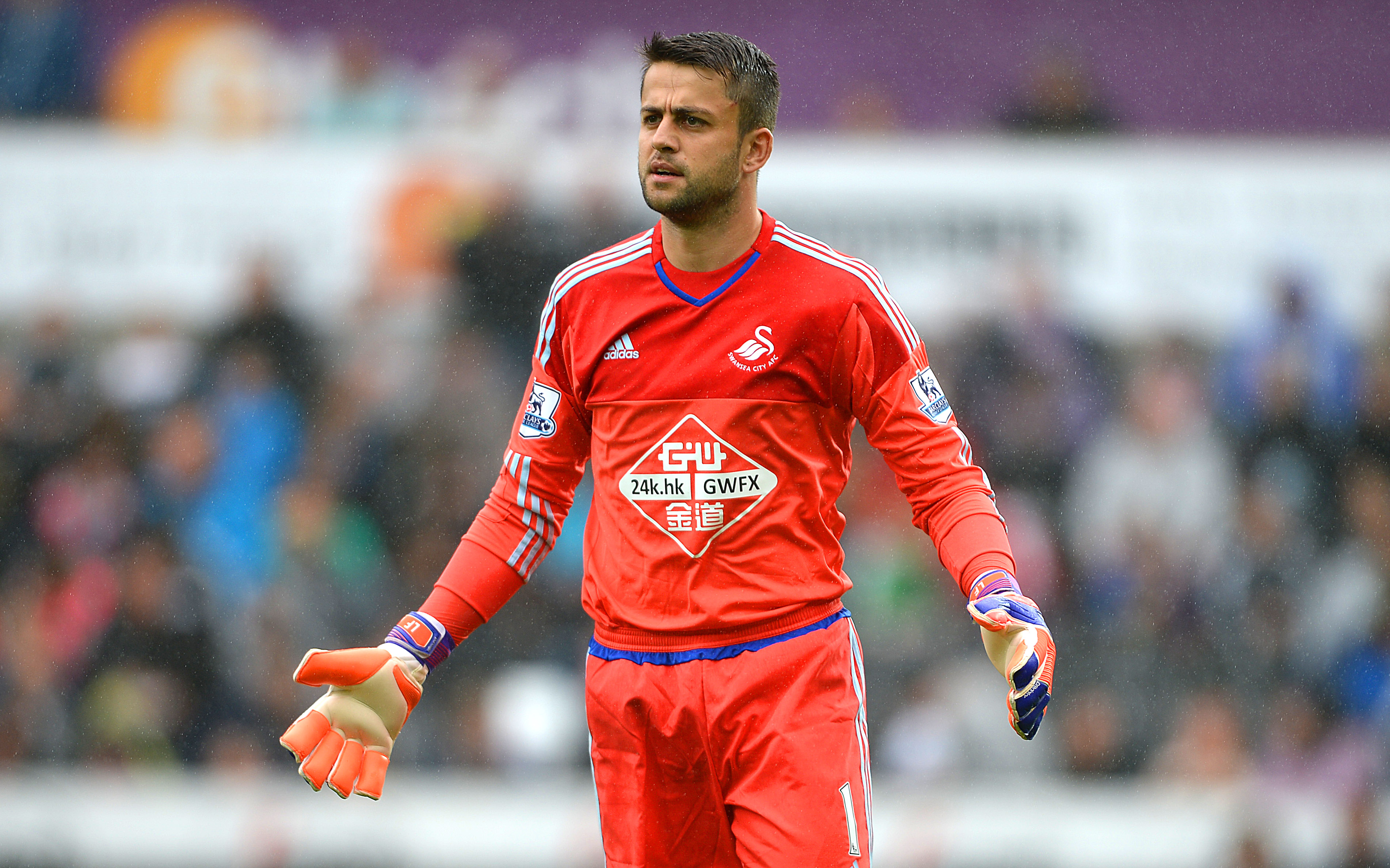 Fabianski Wants Guidolin To Stay On At Swans