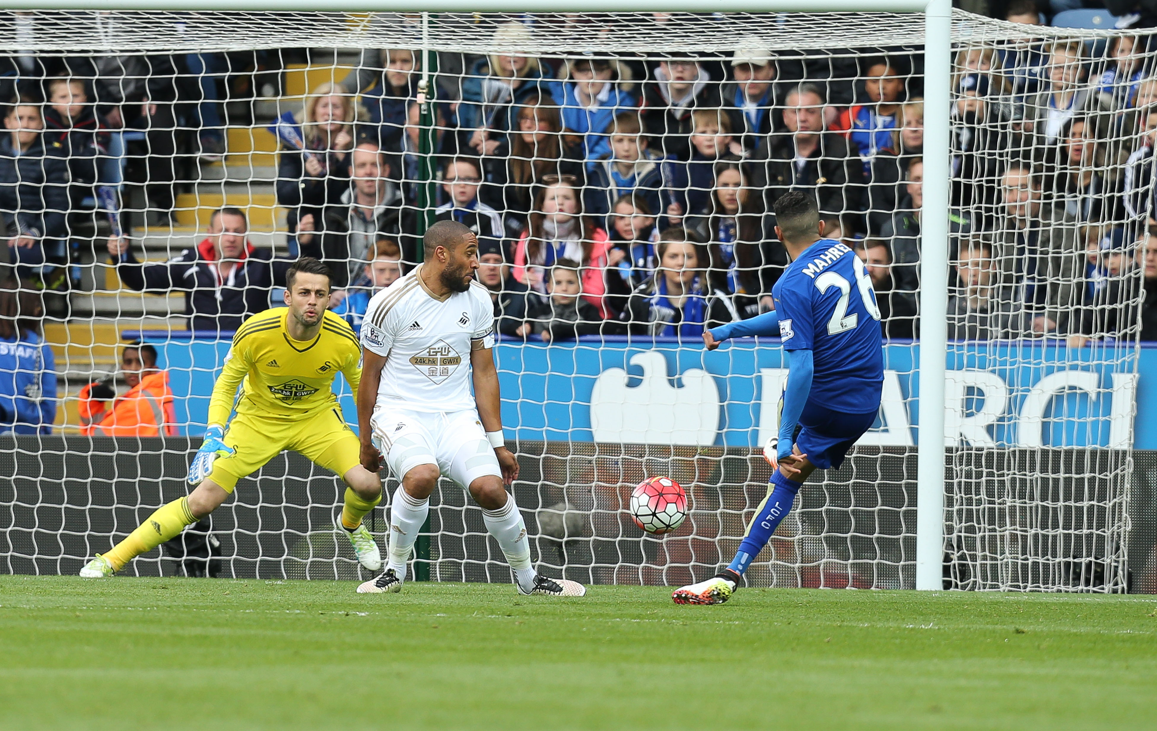 Taylor Apologises After Sorry Swans Ravaged By Foxes