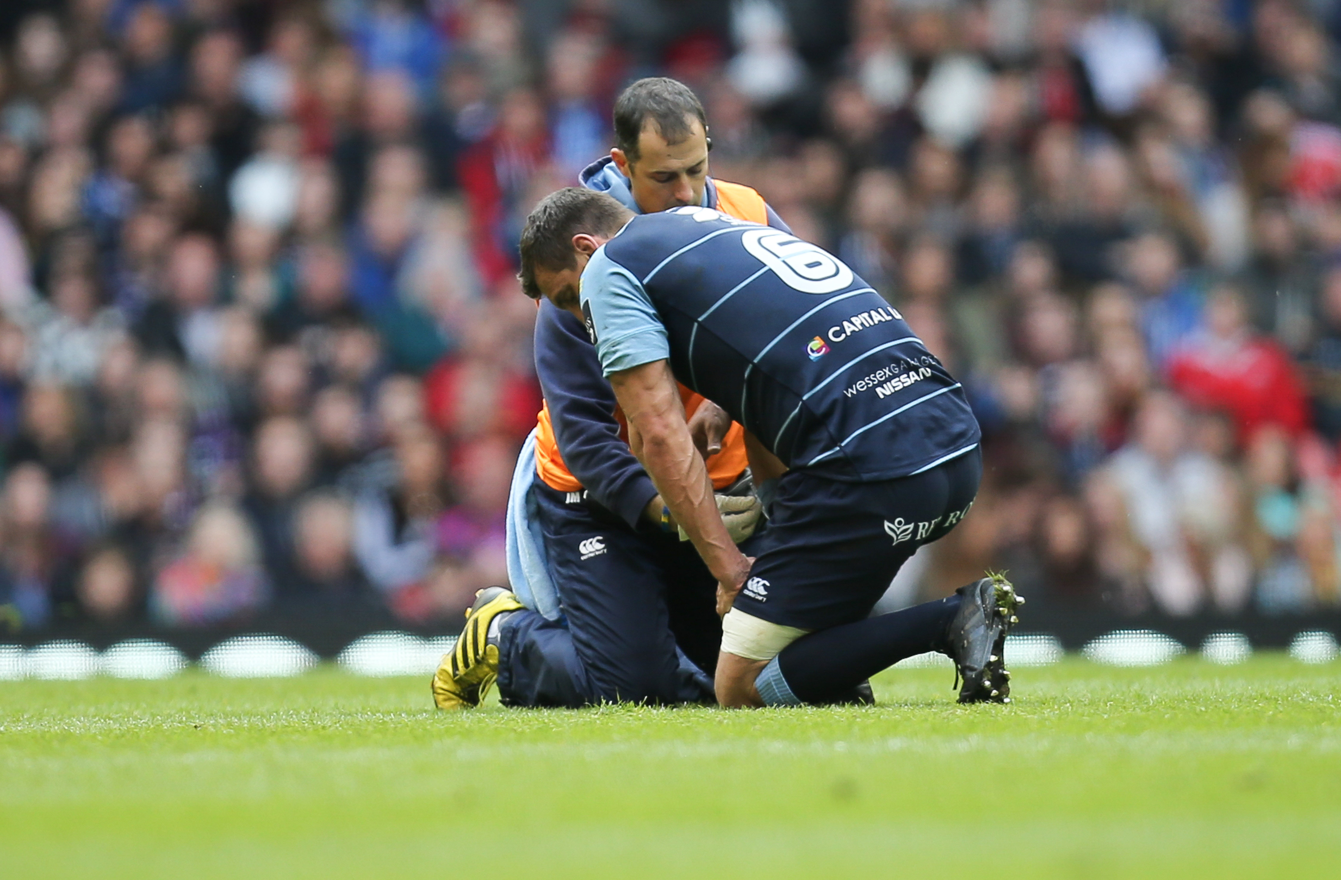 Danny Wilson Says Sam Warburton Will Be Back In Time For Lions Tour