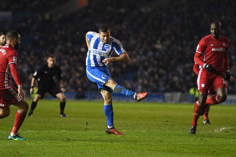 Warnock Says Bluebirds Still Flying Despite Having Wings Clipped By Seagulls