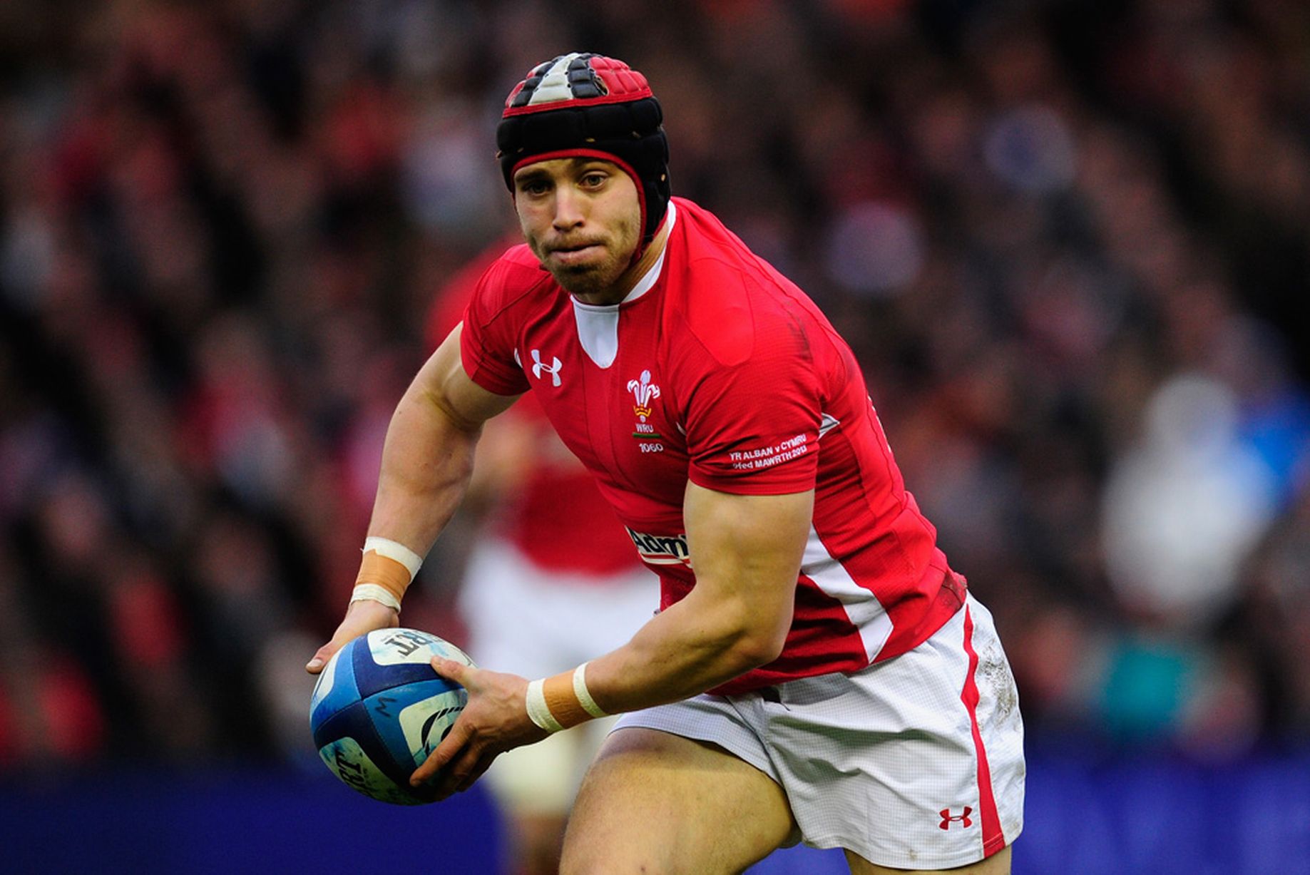 Don't Be Draft! Why Leigh Halfpenny Should Be Allowed To Choose Scarlet Over Blue