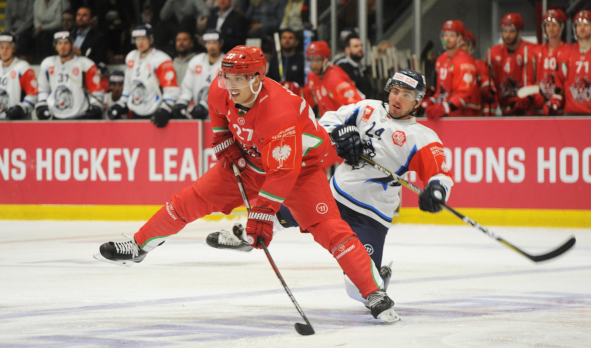 Joey Haddad Fit And Ready For Devils Return