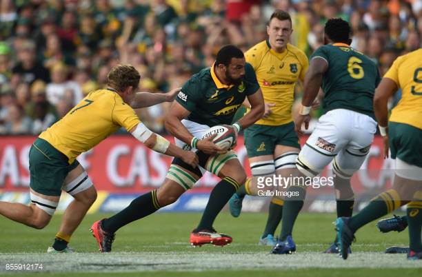 Scarlets Seal The Deal For Springboks No.8 Uzair Cassiem