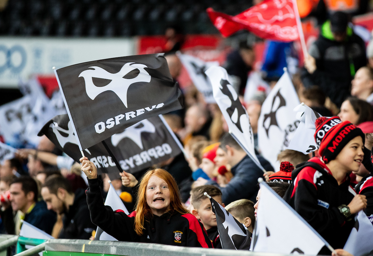 No Name, Shared Homes, More Cash, Fewer Players  . . . Scarlets-Ospreys Merger Is On (For Now)