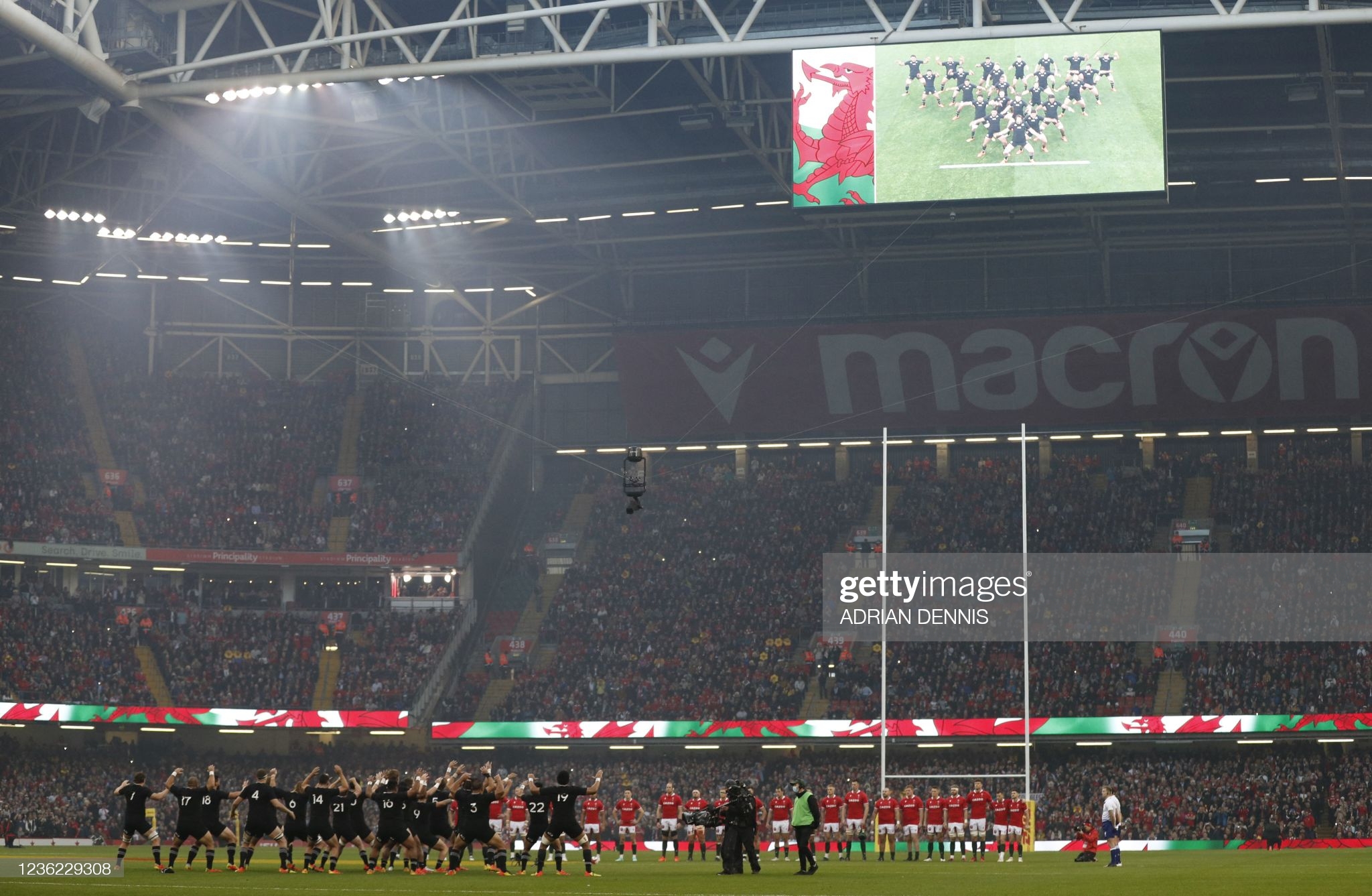 Wales Autumn Matches To Be Shown On S4C