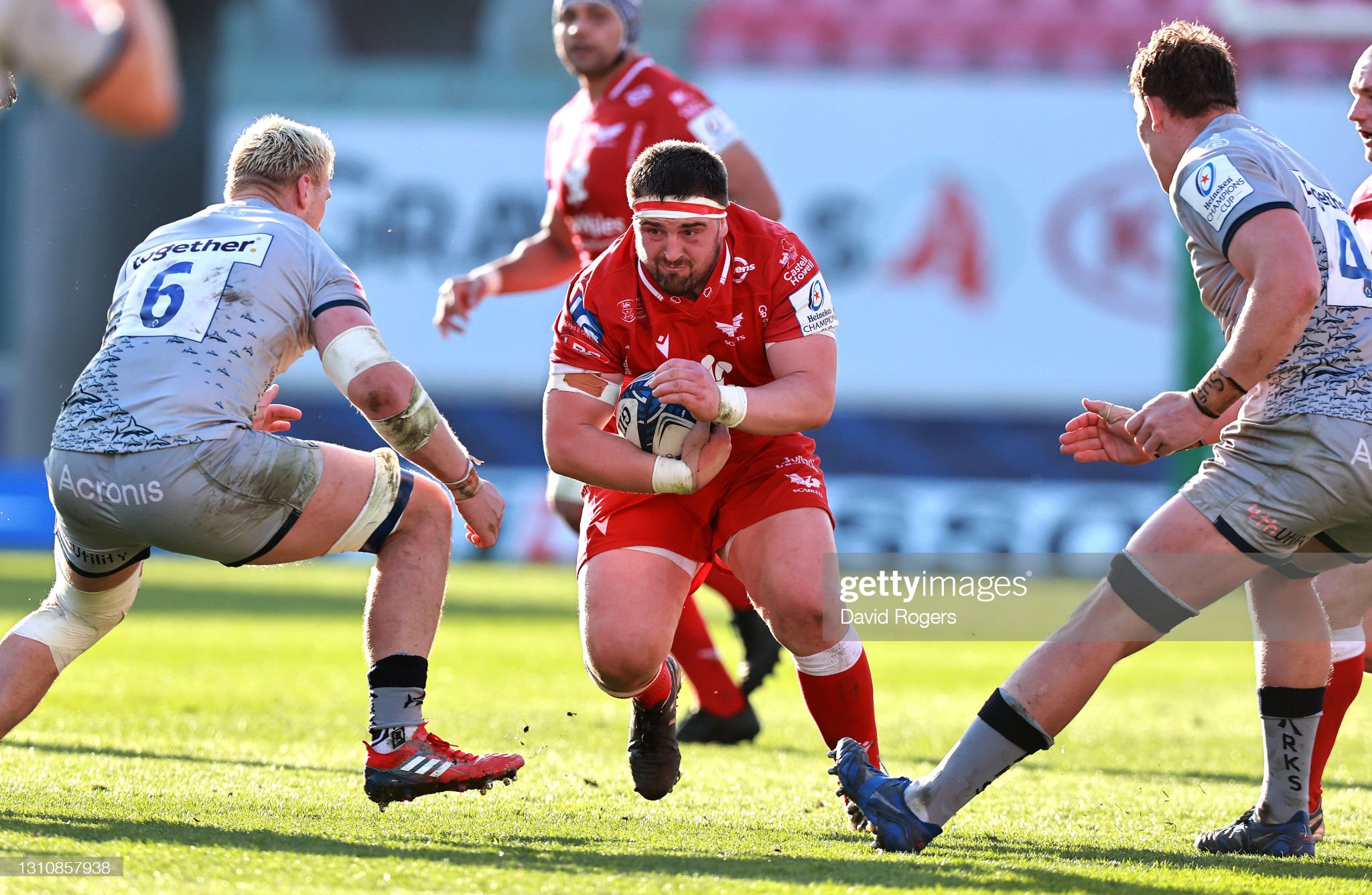 Dwayne Peel Has Defied All The Odds Says Wales Prop Wyn Jones As Scarlets Get Ready For Euro D-Day