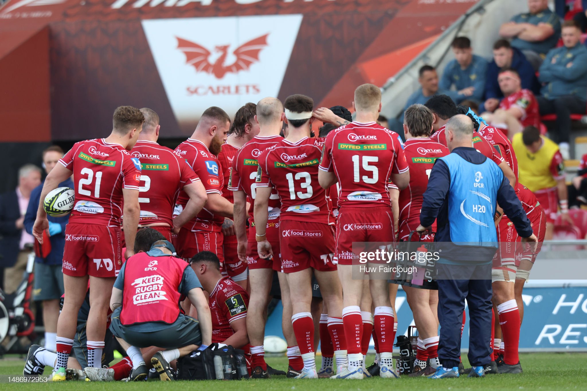 Scarlets Must Try To Tame Georgians Black Lion In Europe