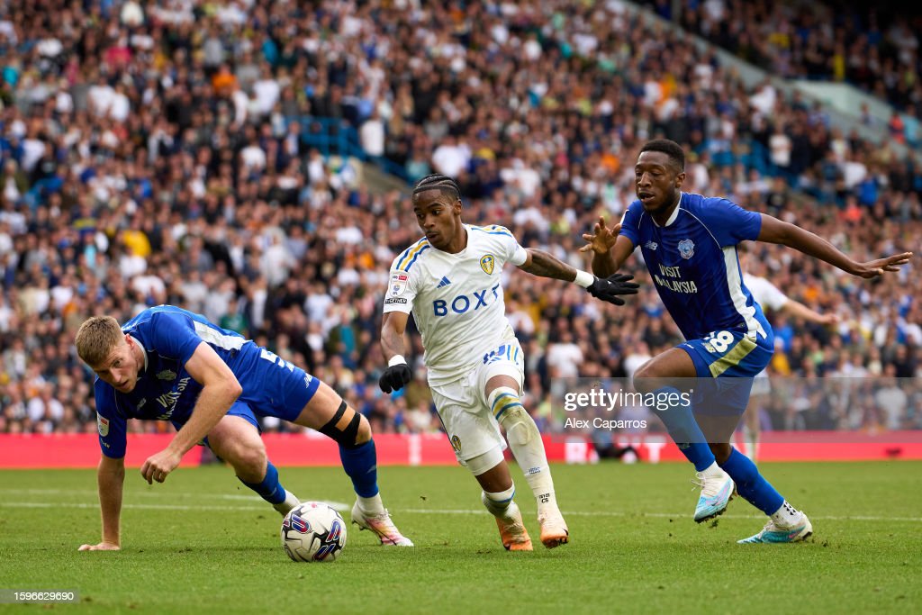 Ebou Adams Is Ready To Help Cardiff City Muscle Their Way Up The Championship Table