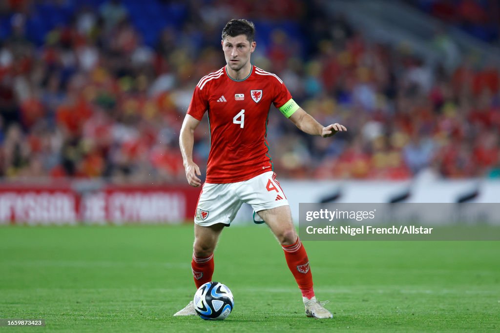 It’s Win Or Bust, Admits Wales Captain Ben Davies