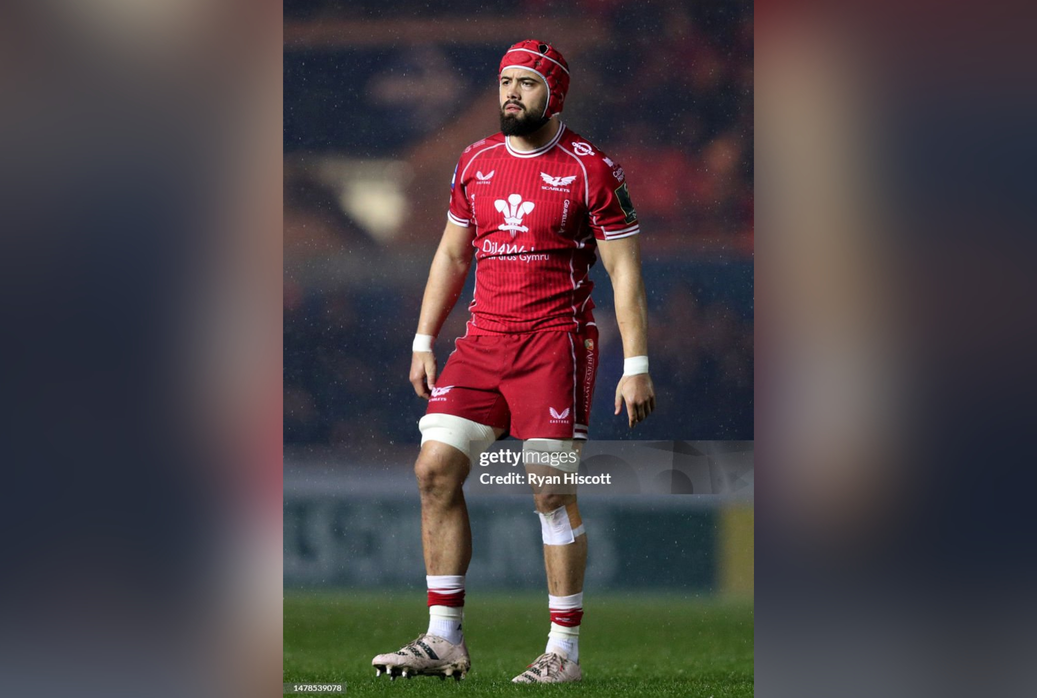 Warrior Spirit Was The Difference For Scarlets At Cardiff, Says Josh Macleod