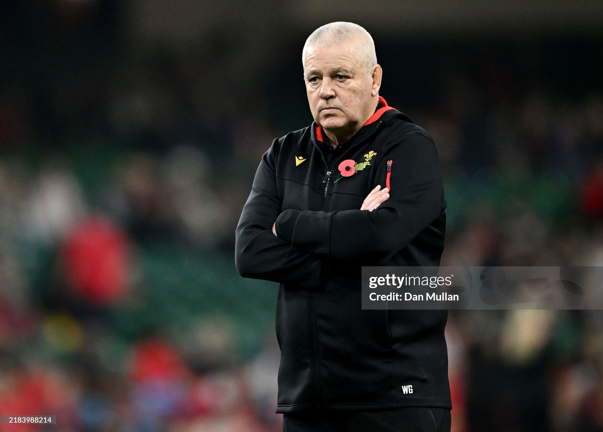 Warren Gatland Needs To Find Old Talent For Underdog Upsets . . . Or Else Wales Coach Heading For The Exit