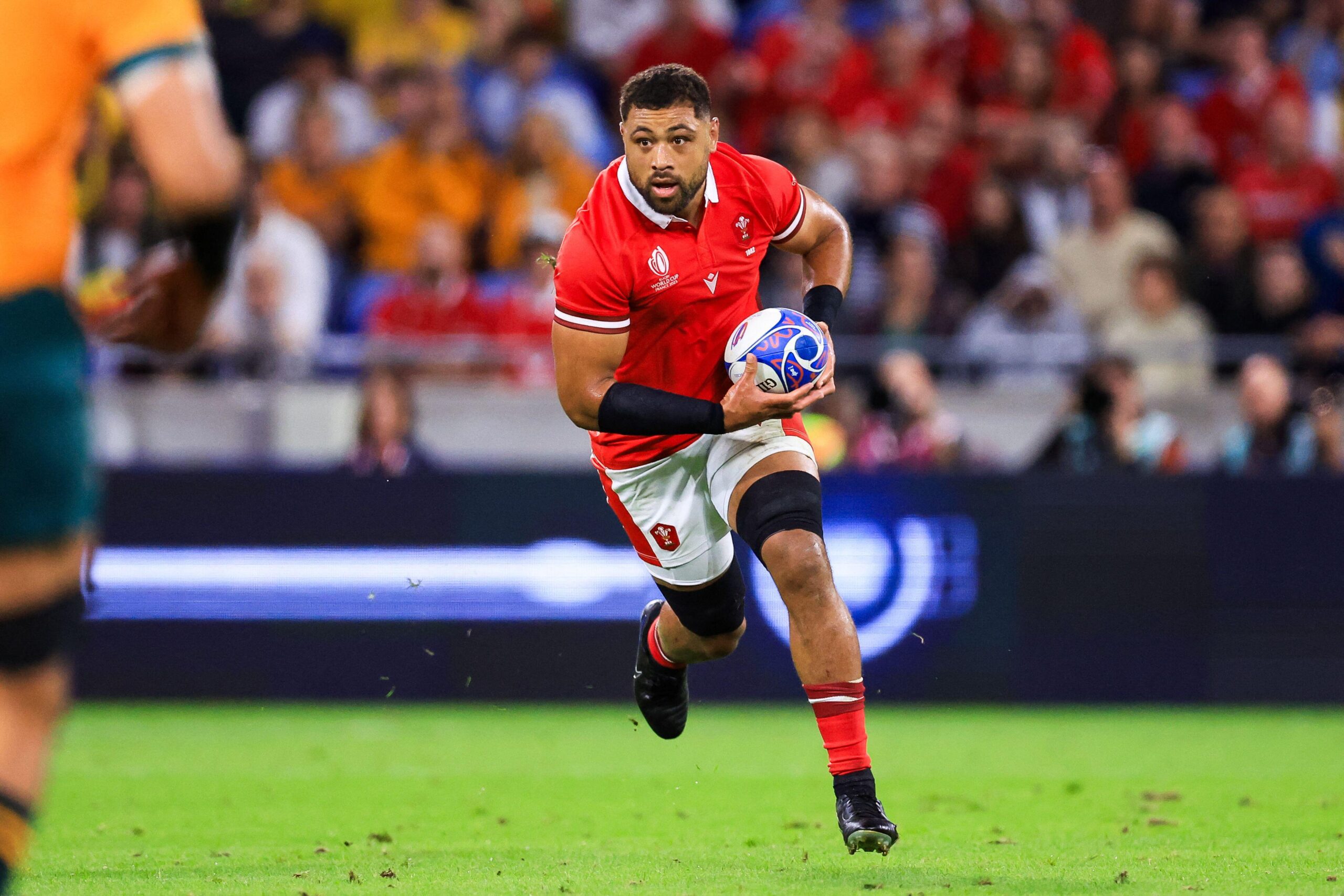 Taulupe Faletau Wales Comeback Is Only On Hold, Insists Warren Gatland