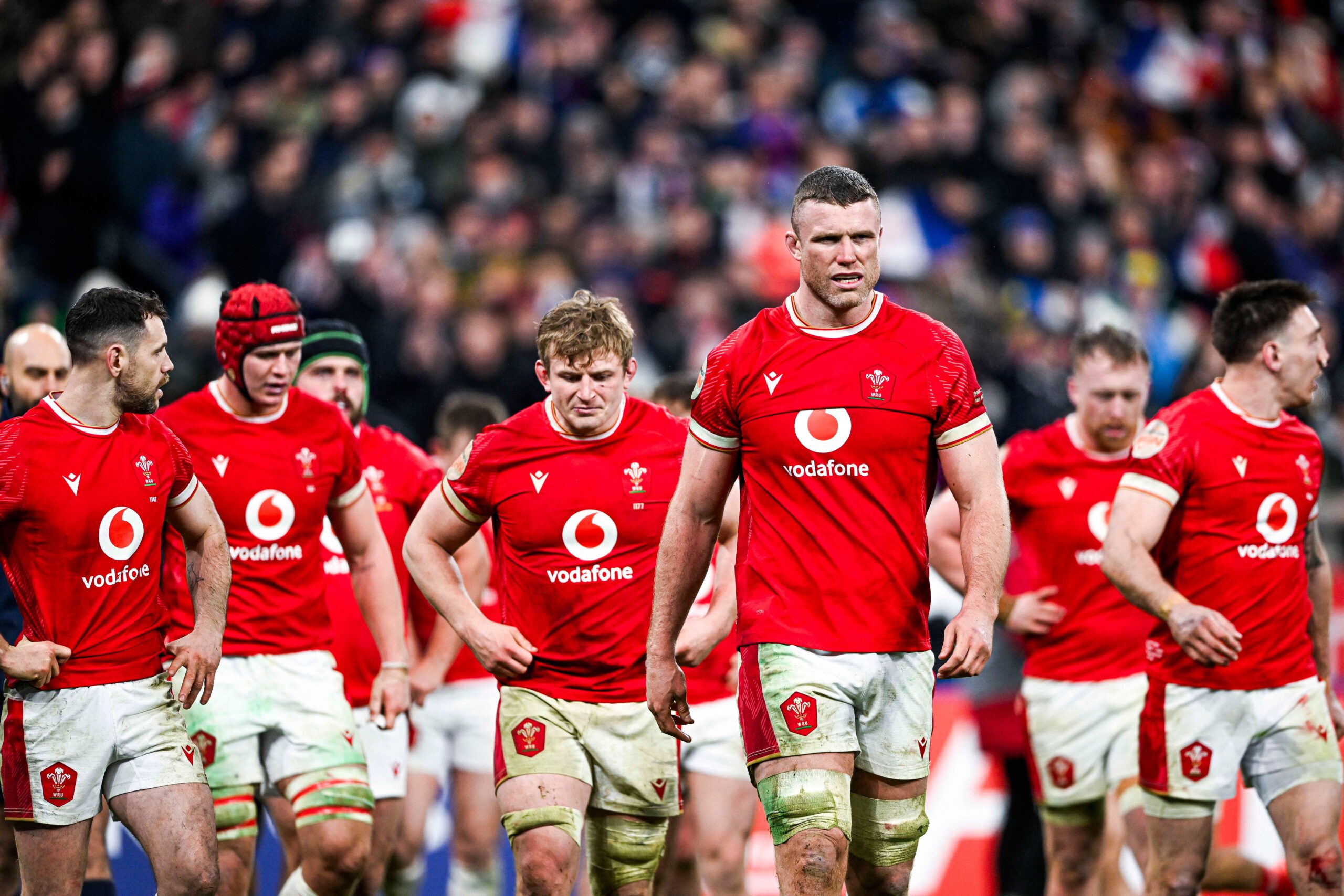 “Harmless” Wales Have Never Had So Few Sharp Teeth